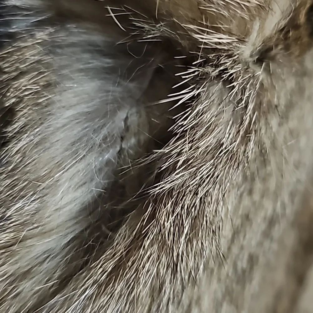Real Fur Brown Tan Beaver Coat Fluffy Collar Glam